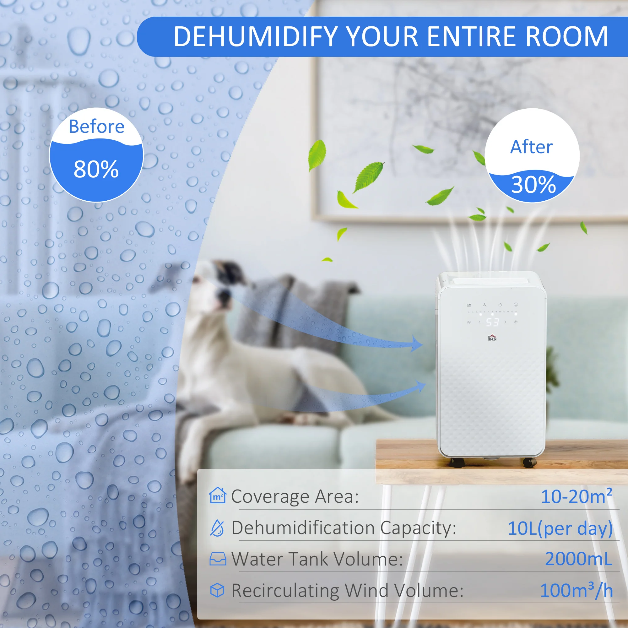 10L/Day 2000mL Portable Quiet Dehumidifier with Air Purifier Filter, White - Image 6