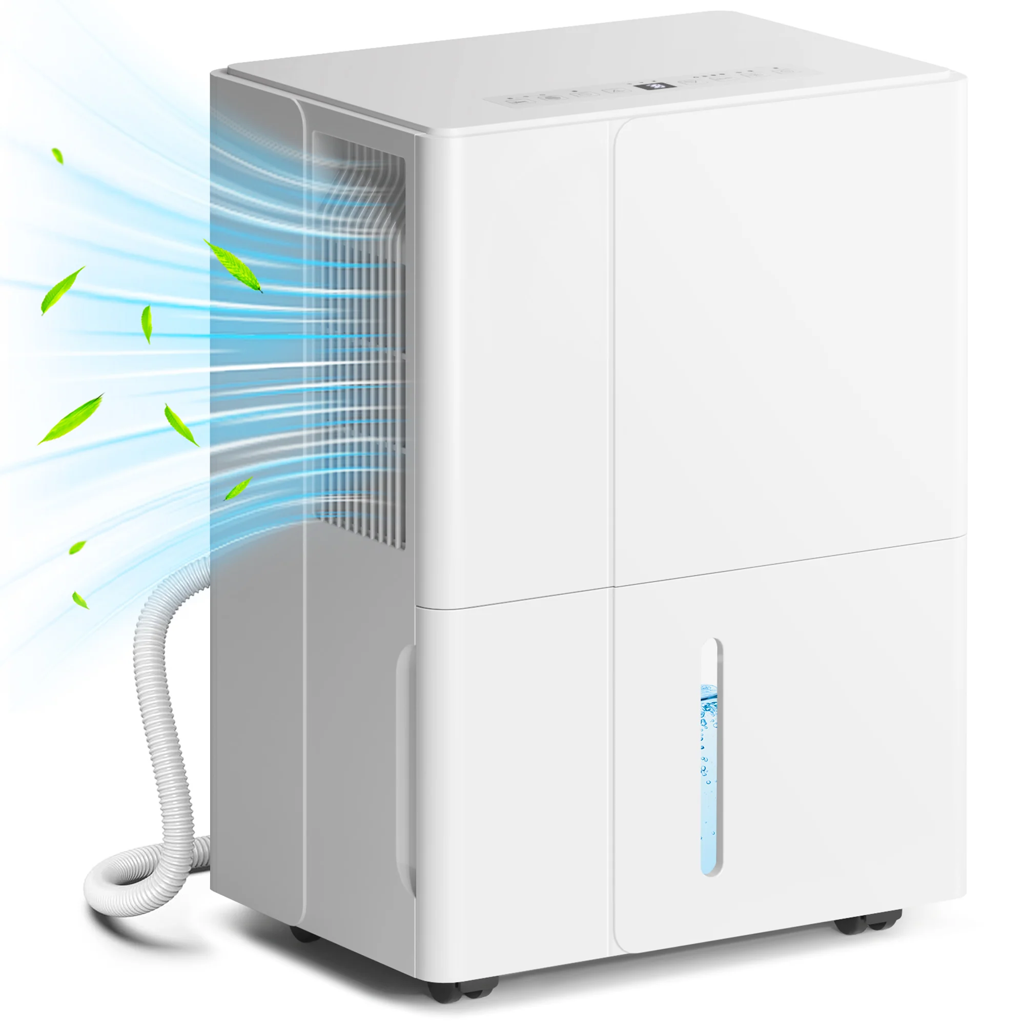 30L/Day Dehumidifier with Activated Carbon Air Filter for Home Damp, Laundry Drying